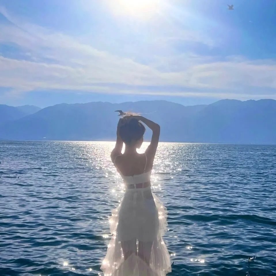 野马梅莎 海报